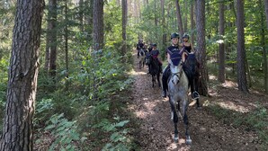 Un grupo de personas montando a caballo por un sendero forestal.