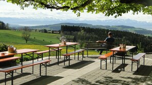 Terras