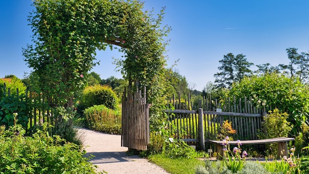 Un sendero de jardín que conduce a una puerta de madera con un arco cubierto de hiedra.
