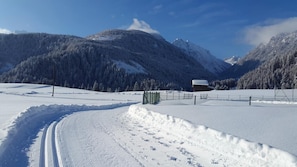 View from property - Gasthof Wacht (Untertilliach)