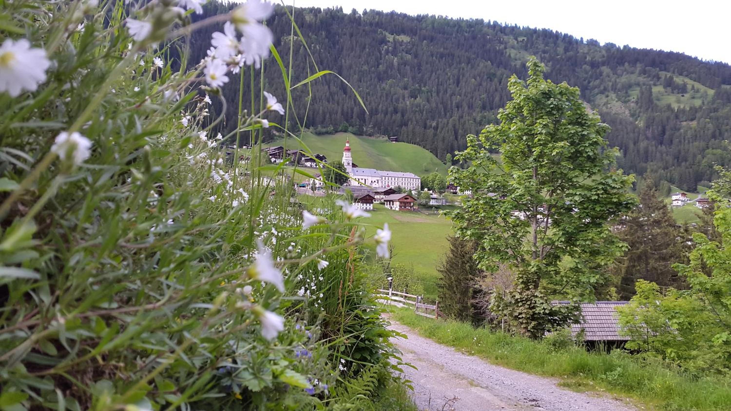 A rural landscape with a building that appears to be a hotel or lodge, surrounded by greenery and a forested hill in the background.
