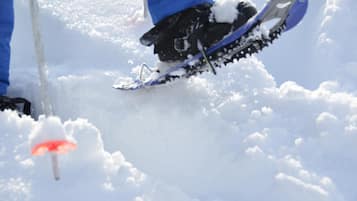 A pair of snowshoes with a blue frame and black bindings on a snowy surface.