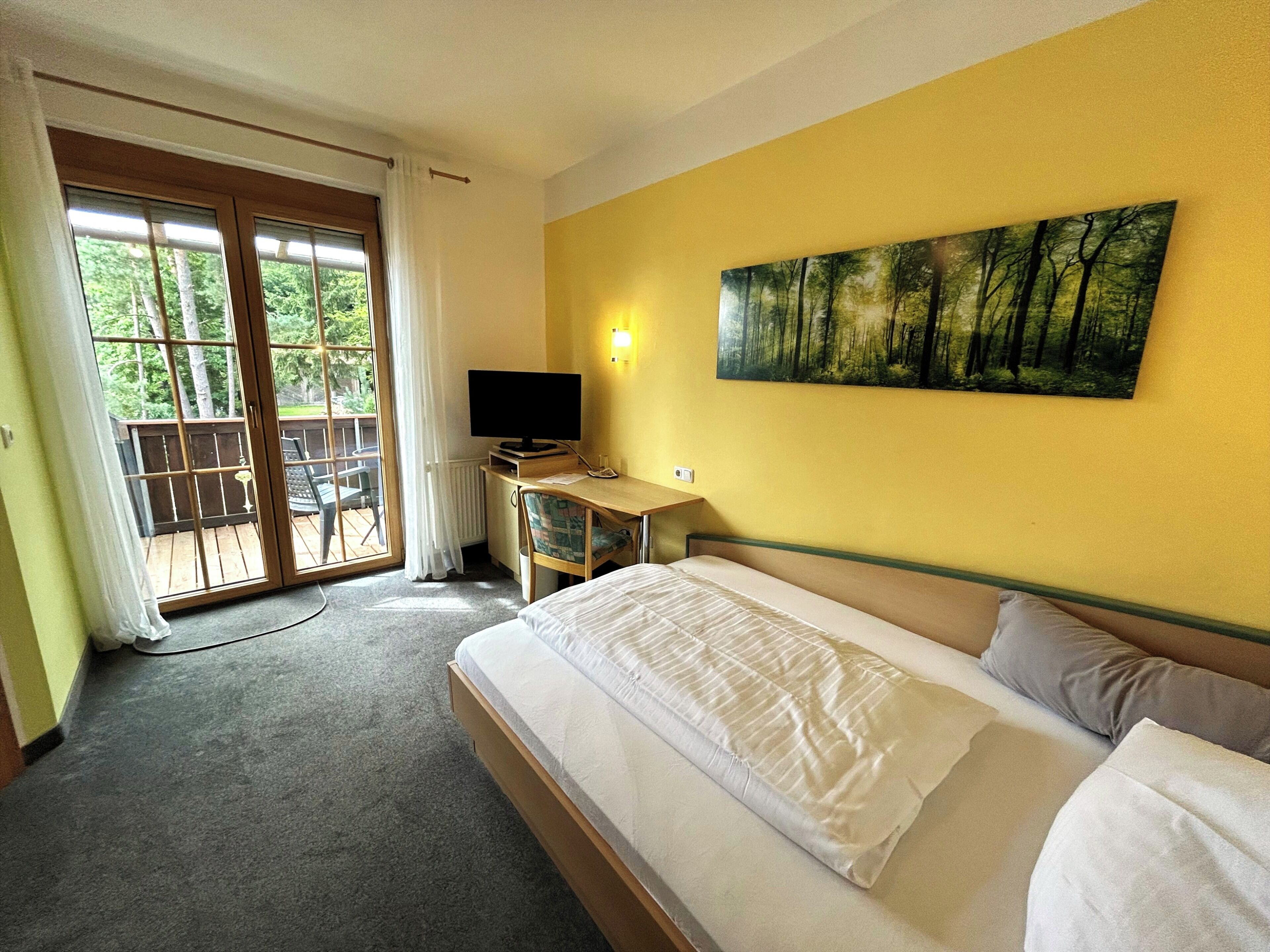 Classic Single Room, 1 Bedroom, Non Smoking, Mountain View