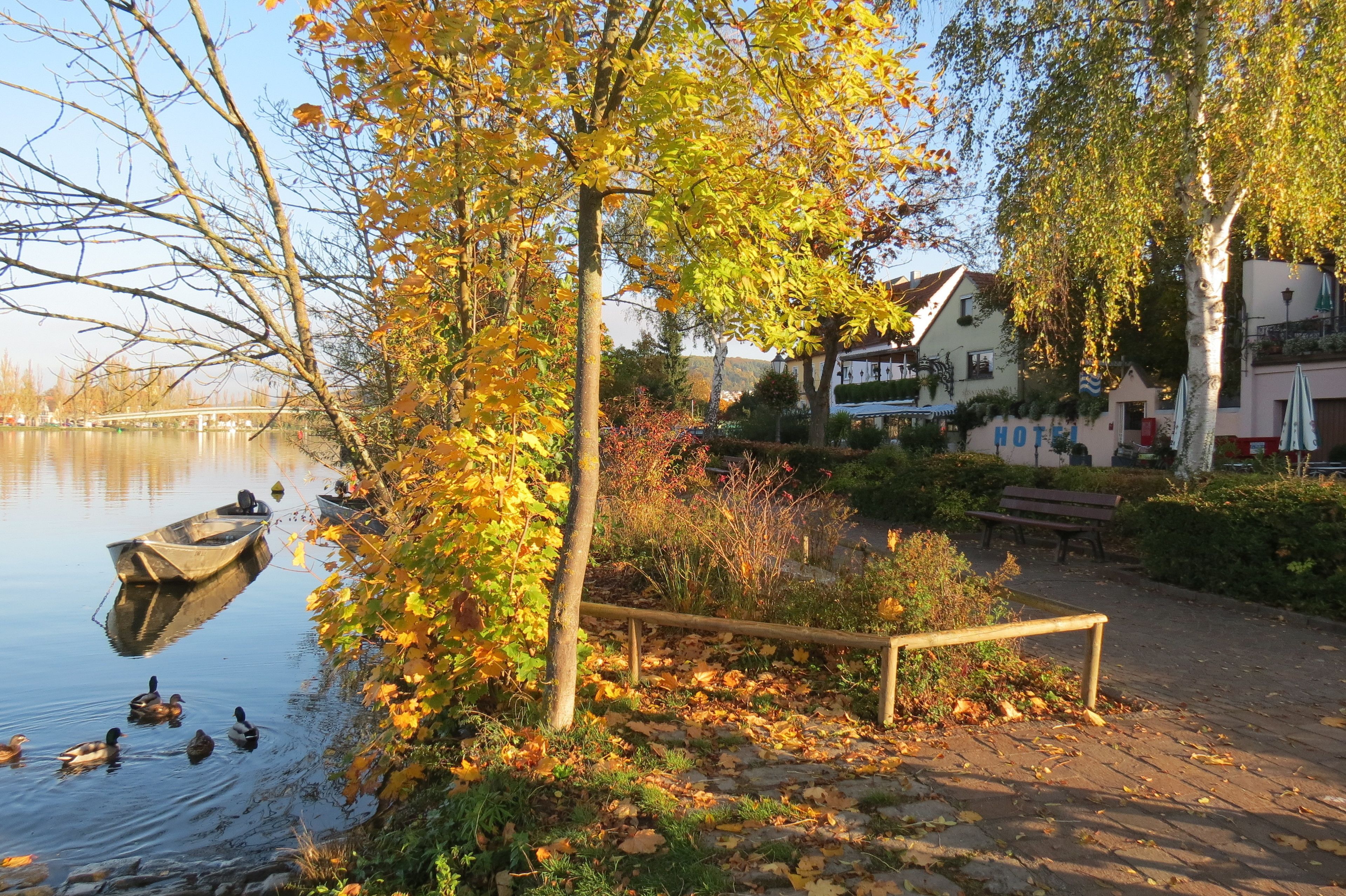 Photo - Hotel am Main