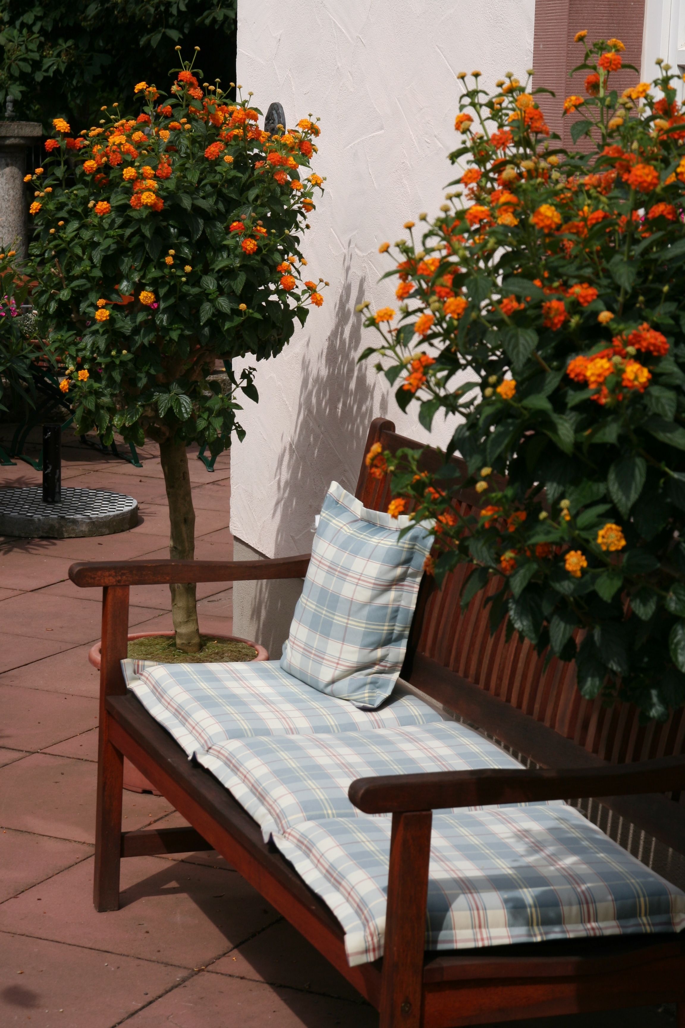 A wooden bench with a plaid cushion, positioned in front of a wall with a large bush of orange flowers.