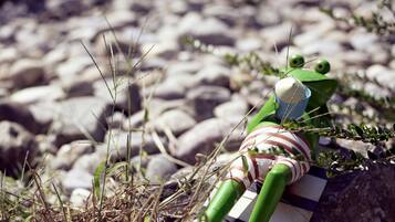 A toy frog on a rock with a checkered cloth.