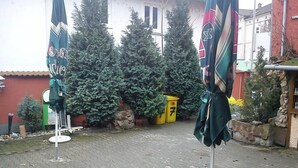 免费自助停车