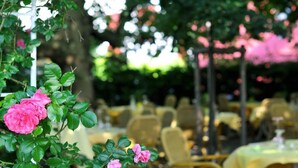 Terrace/patio - Ott's Leopoldshoehe (Weil am Rhein)