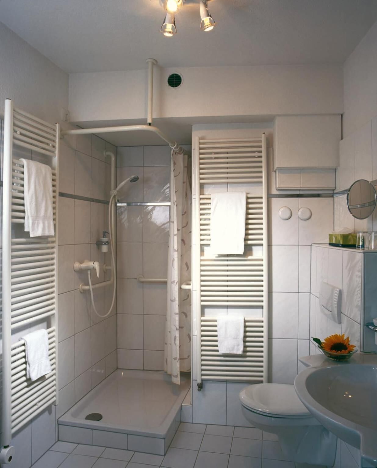 A modern bathroom with a walk-in shower, a toilet, and a sink.