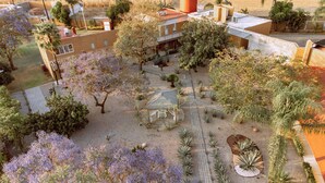 A courtyard with a gazebo, surrounded by various plants and trees.