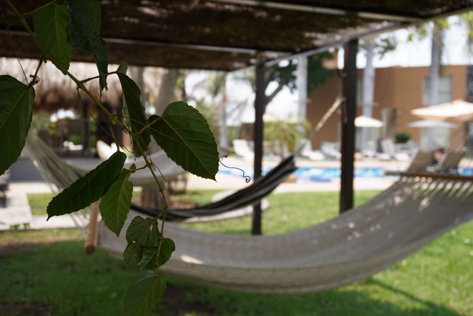 Eine Hängematte unter einer Holzpergola, ein Pool und Liegestühle in einem Garten.