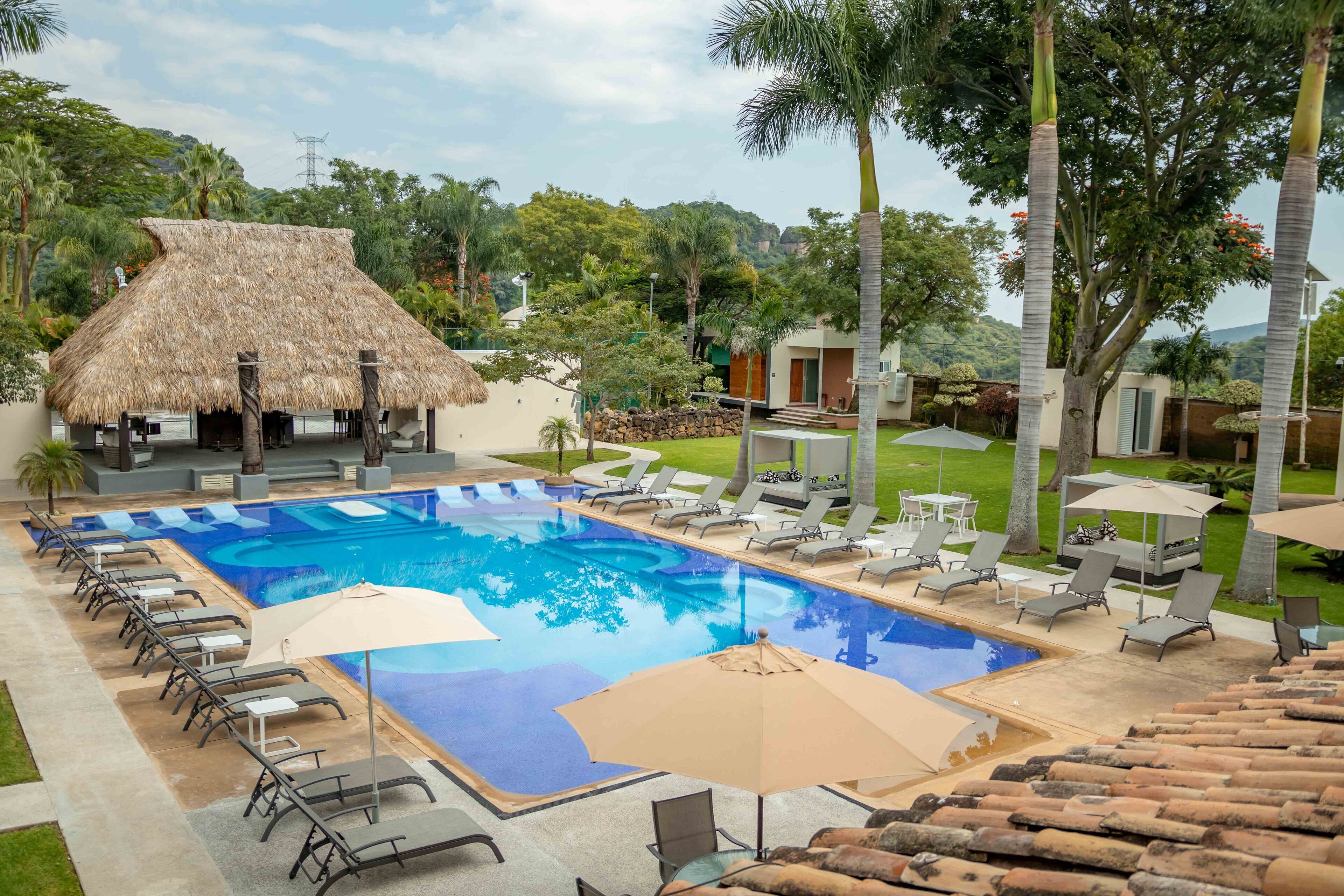 A swimming pool with lounge chairs and umbrellas, surrounded by palm trees and a thatched-roof structure.