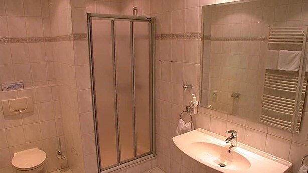 A bathroom with a glass-enclosed shower, a sink with a mirror, and a toilet. - Goos (Juebek)