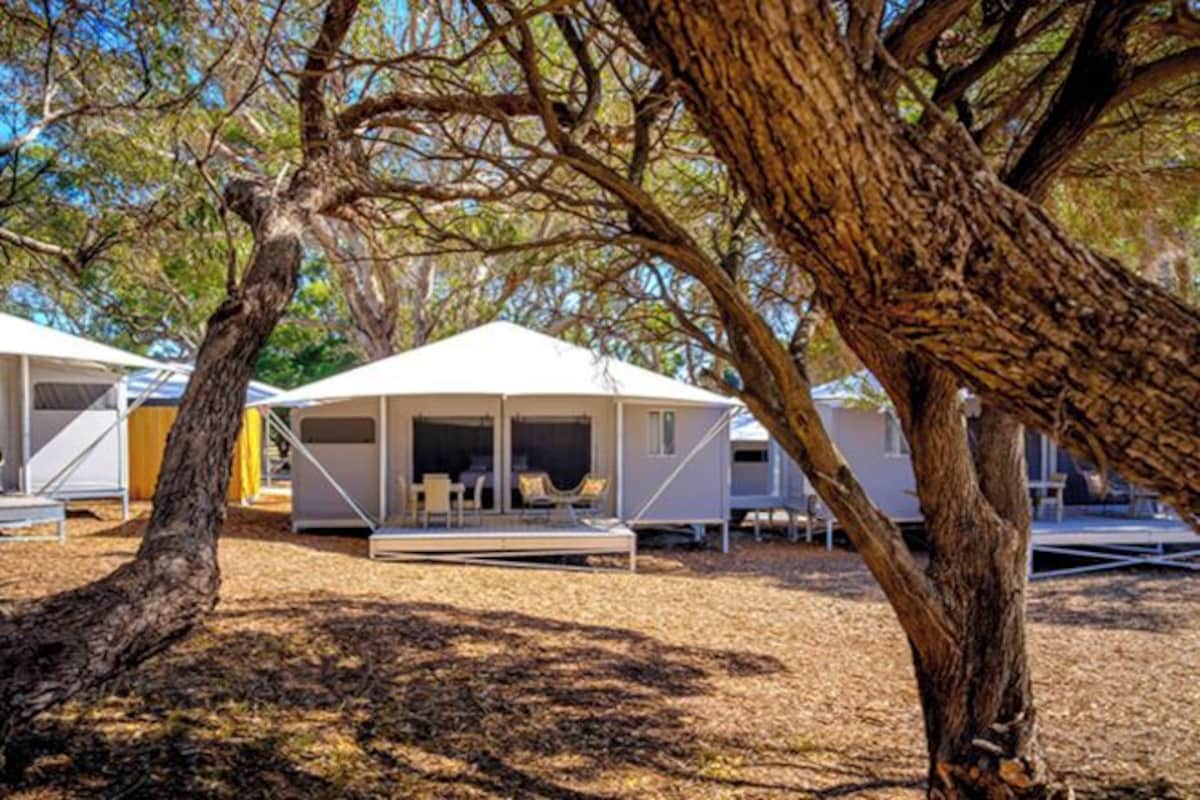 Superior Family Tent