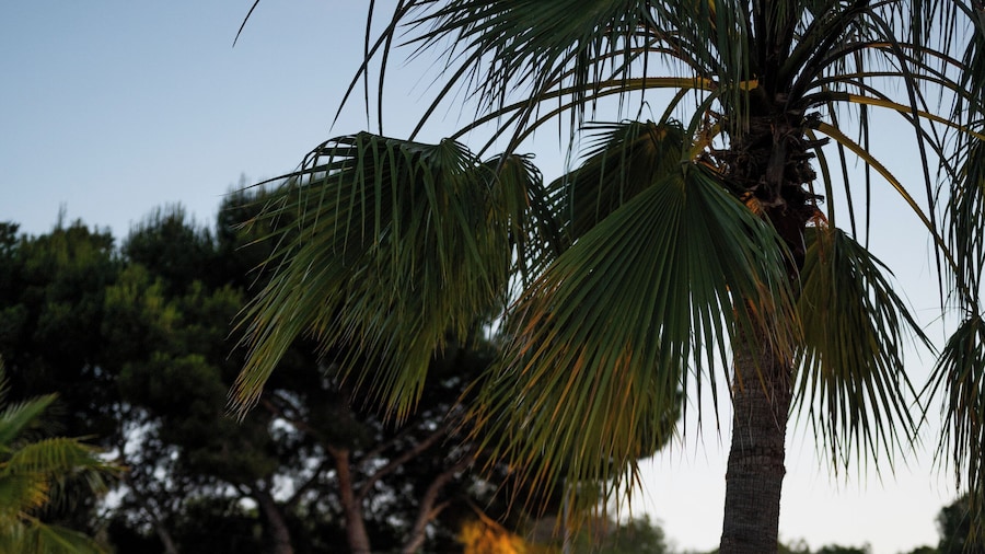 Hotel Sol i Vida - Adults Only