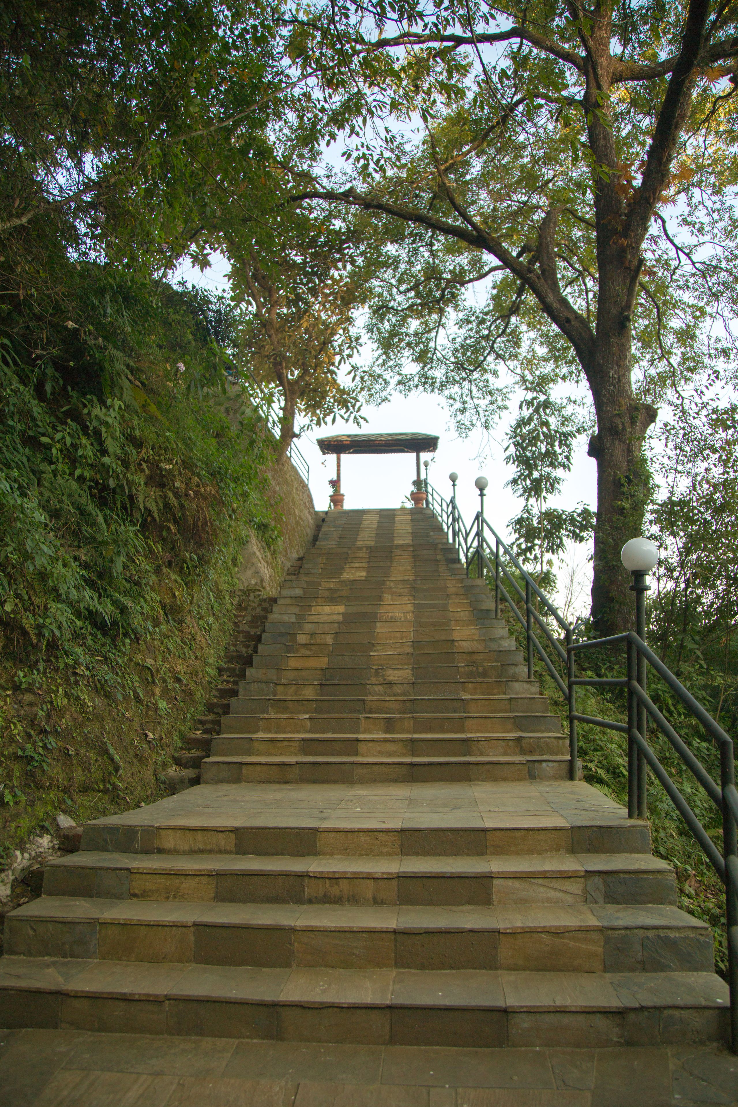 A stone staircase leading up to a covered area, surrounded by trees and greenery.