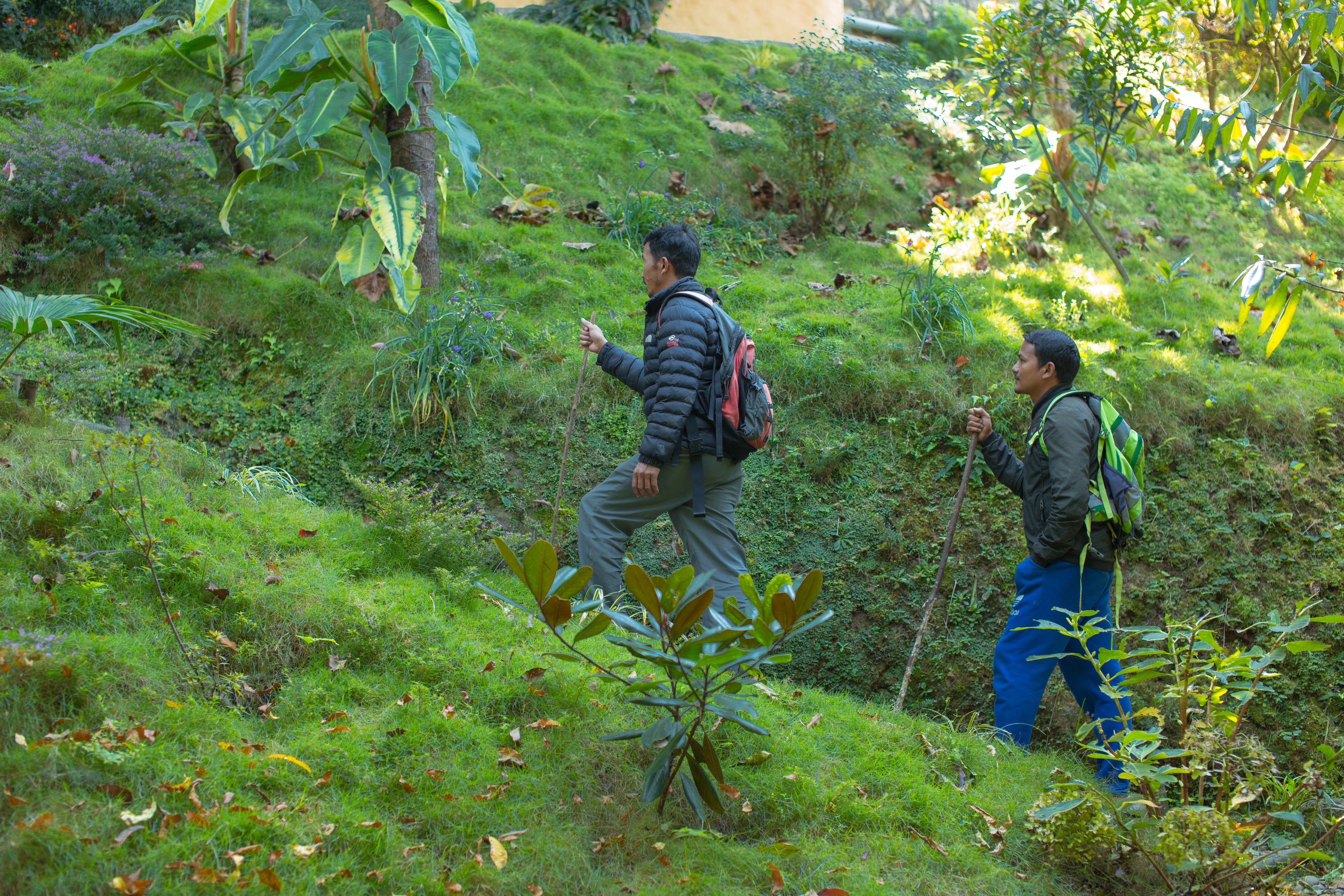 A natural outdoor setting with greenery and a person hiking.