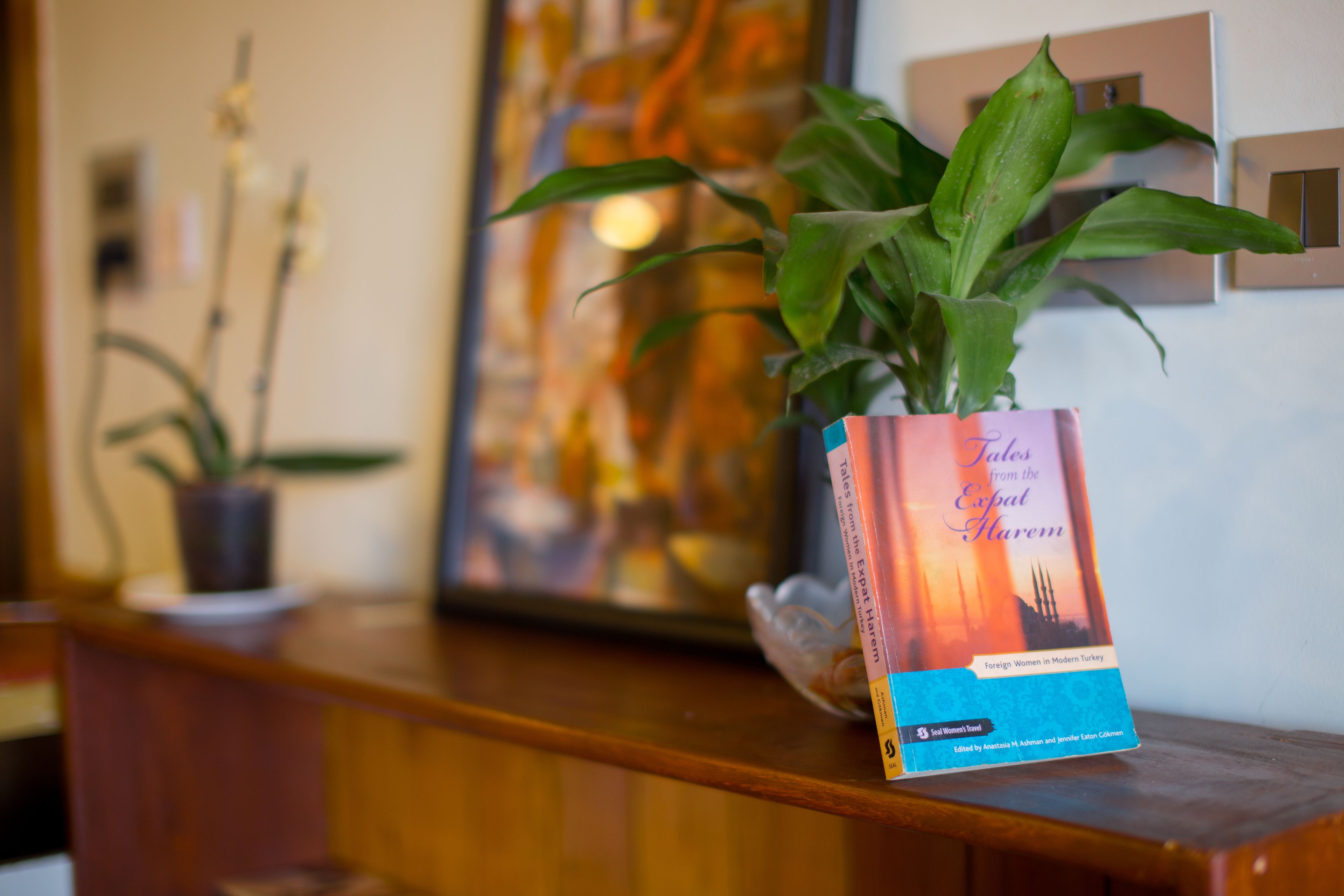 A book titled 'Tales from the Ottoman Empire' on a wooden surface with a potted plant beside it.