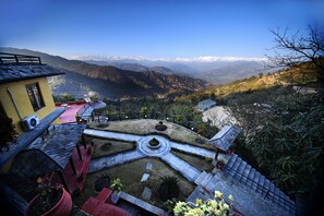 Garden - The Lapsi Tree (Mahamanjushree Nagarkot)