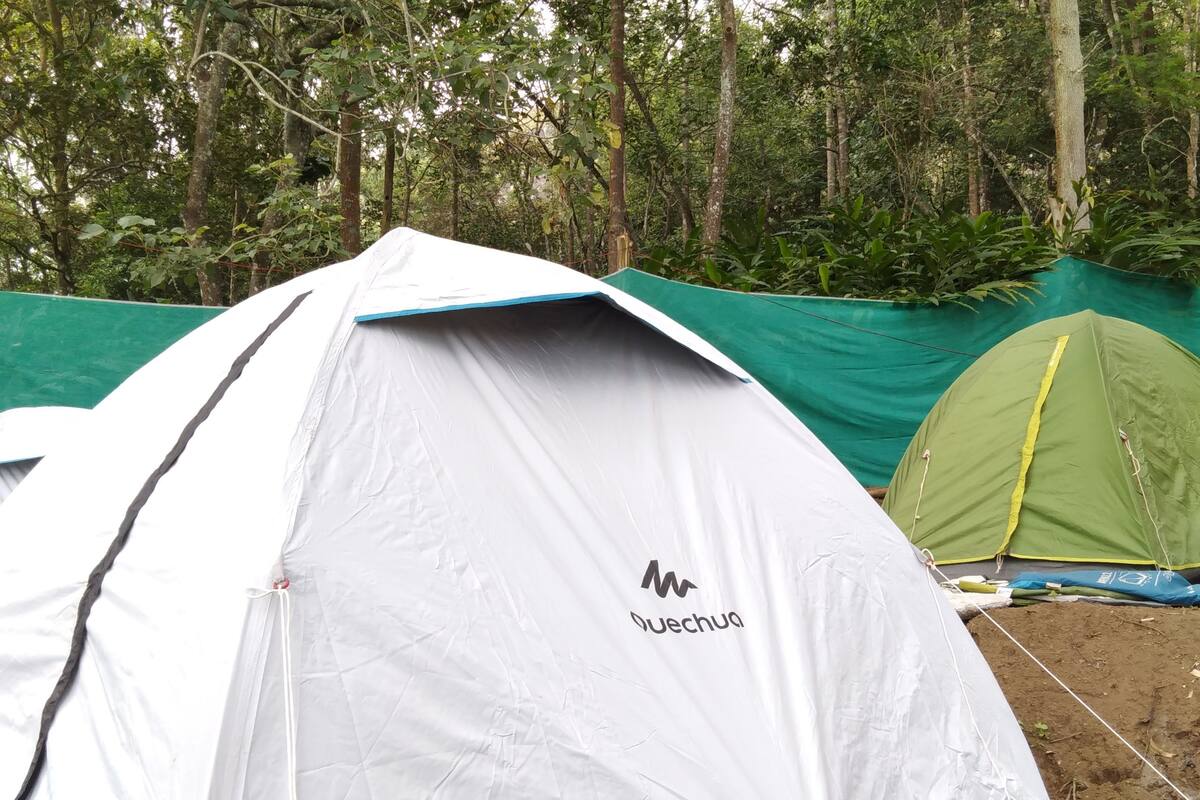 Comfort-telttamajoitus, 1 yhden hengen sänky, tupakointi kielletty | Rakennuksen muotoilu