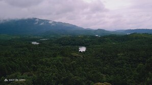 Una fitta foresta con un lago e montagne sullo sfondo.