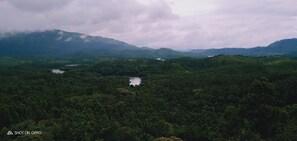 Point of interest - Lake View Camp (Devikolam)