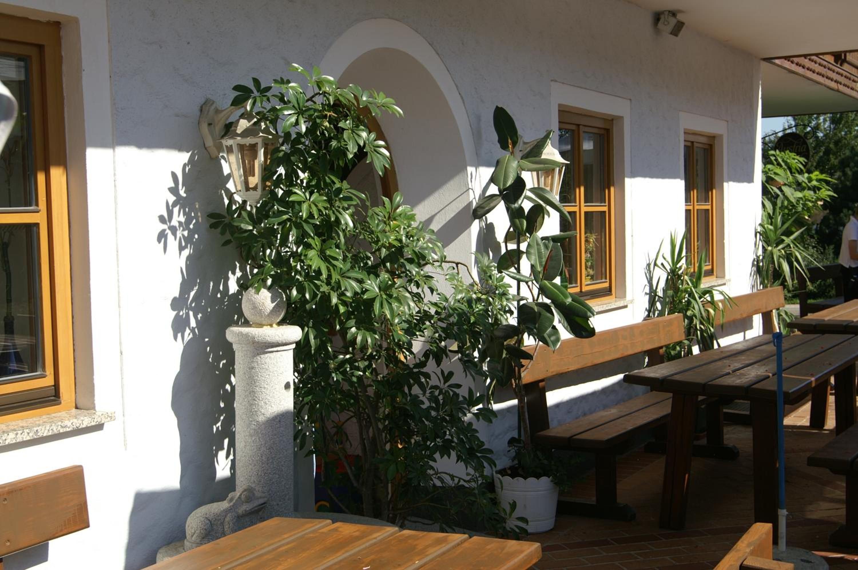 Un patio al aire libre con bancos de madera y plantas en macetas.