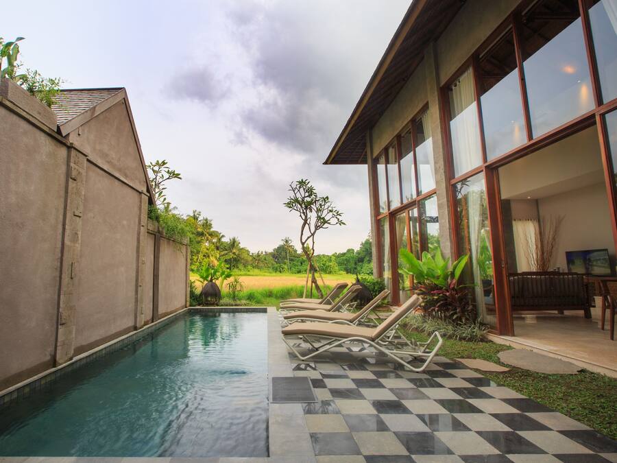 Una piscina con sillones de descanso, un patio a cuadros y vistas a un campo y árboles.