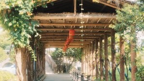 Une allée couverte agrémentée d’une pergola, entourée de verdure et d’arbres.