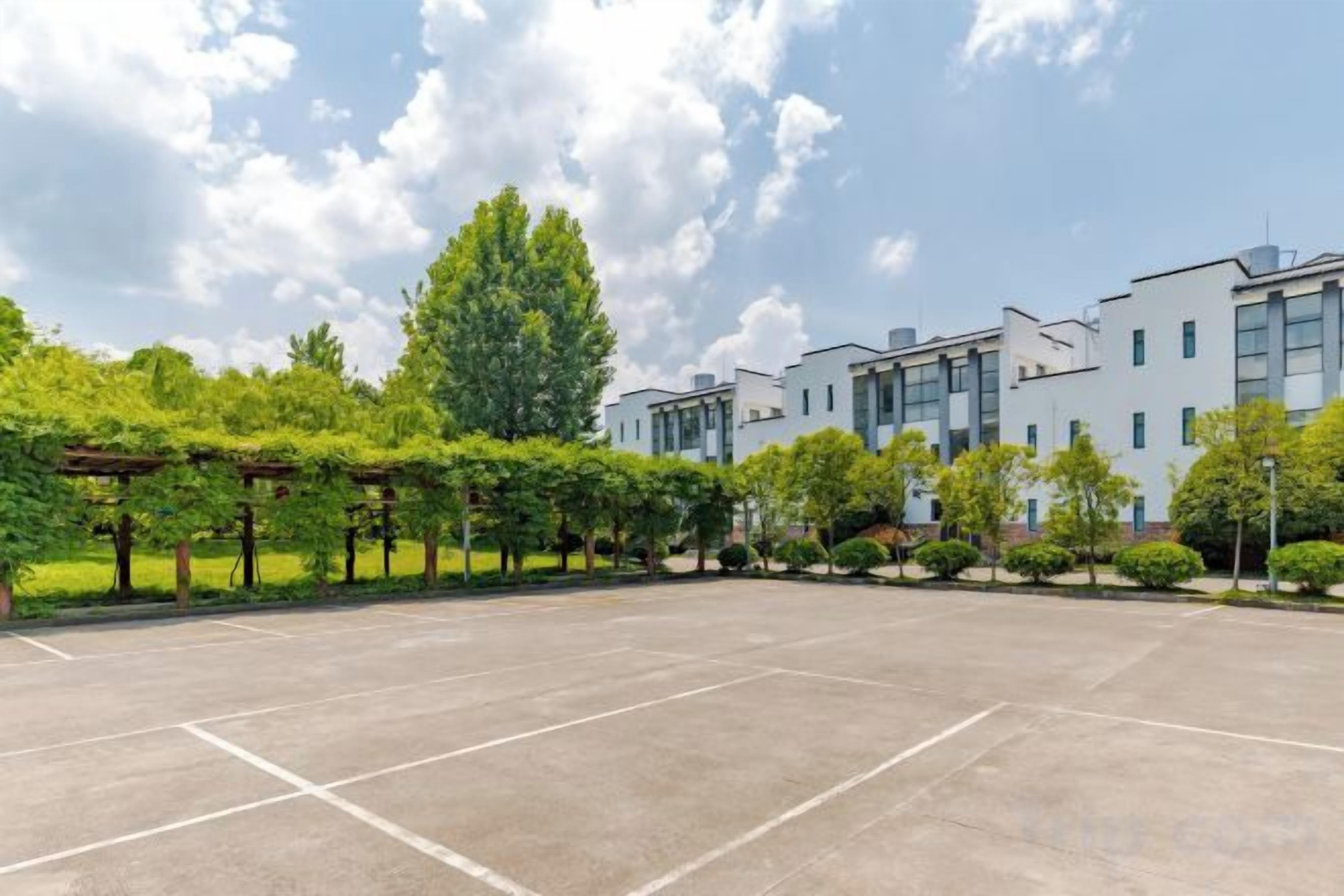 A courtyard with a paved area, trees, and a building with multiple windows.