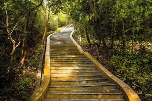 A concrete staircase surrounded by dense forest. - the Fountain Resort (Shenzhen)