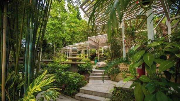 Un sentier luxuriant, bordé de verdure, avec un escalier en pierre menant à une zone abritée.