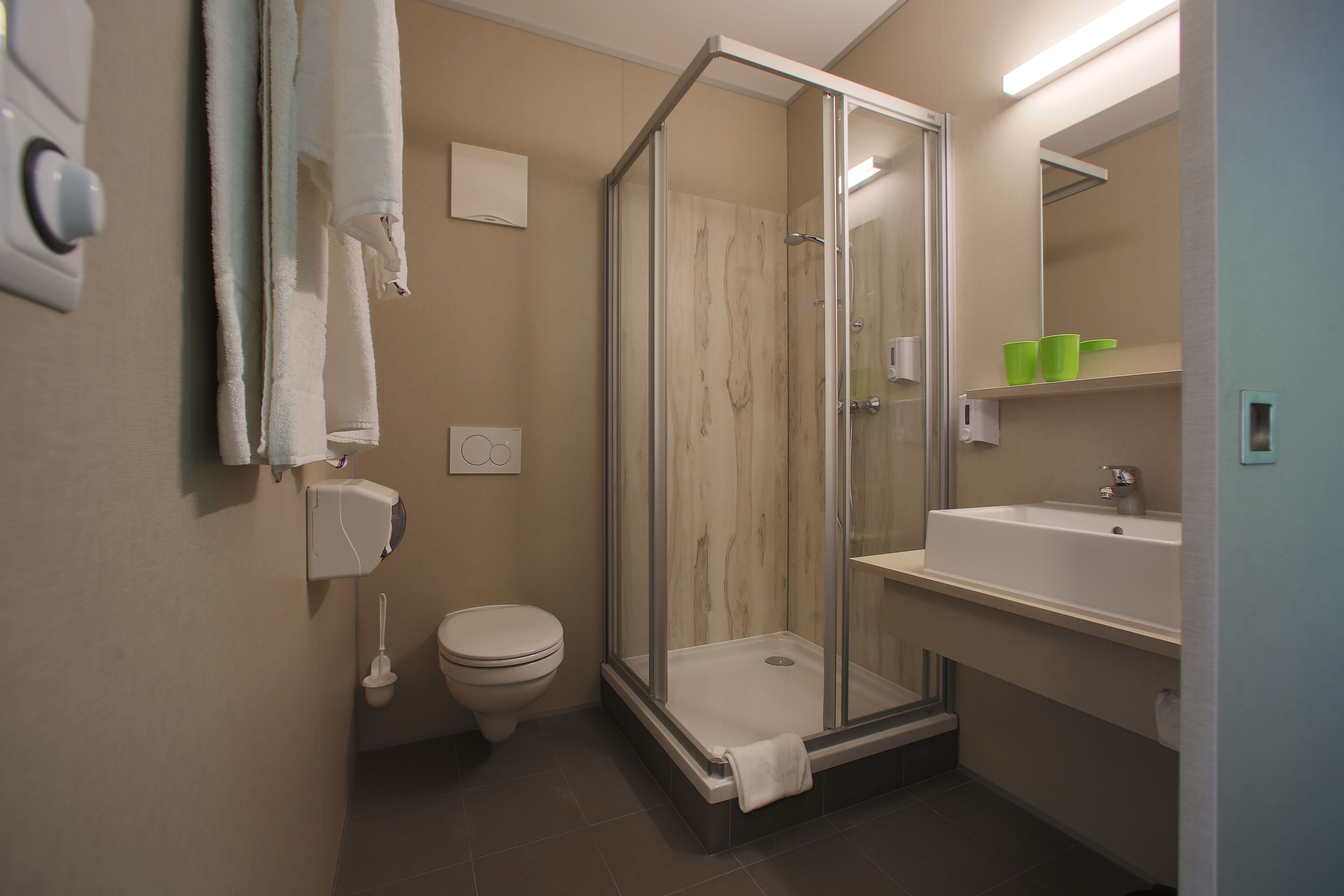 standard double or twin room | bathroom | shower, hair dryer, towels, soap