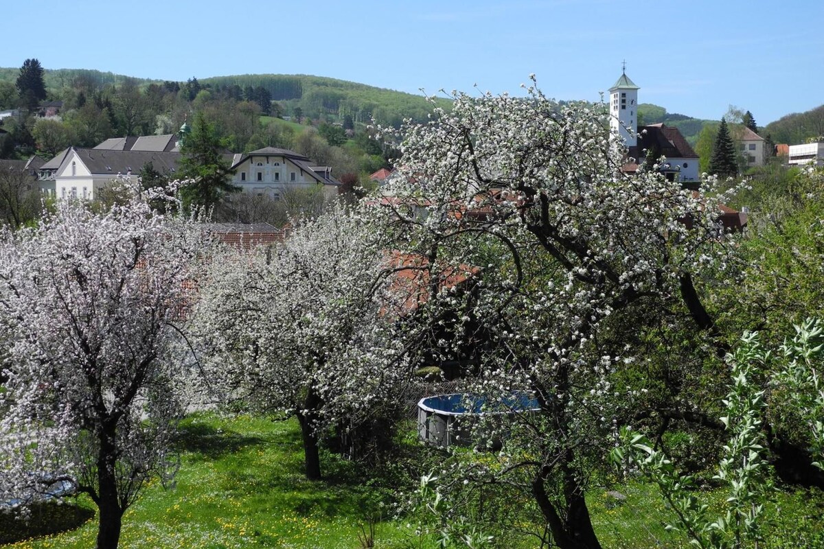 A rural landscape with blooming trees, a church, and residential buildings.