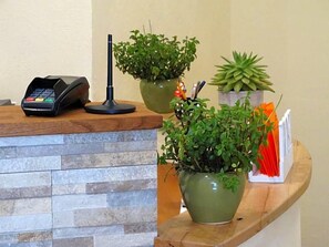A reception desk with a payment terminal, a telephone, and several potted plants.