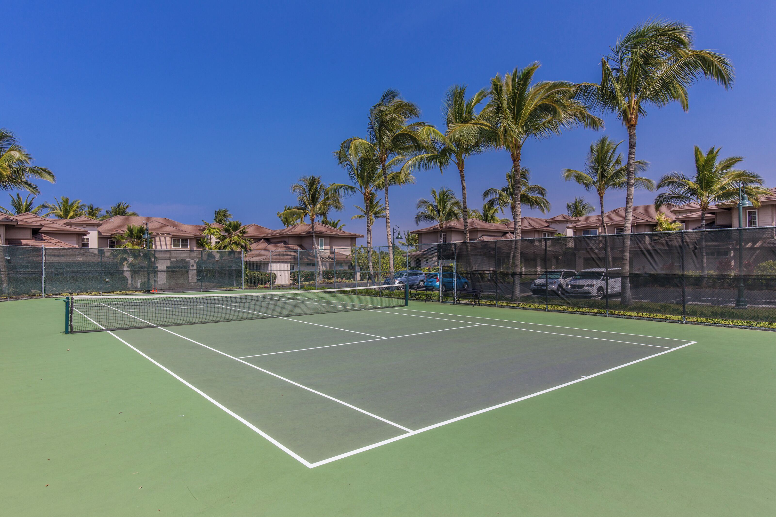 A tennis court surrounded by palm trees and houses.