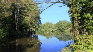 A serene lake surrounded by dense trees and lush vegetation. - Residenzia Hotel Grenadier (Munster im Heidekreis)