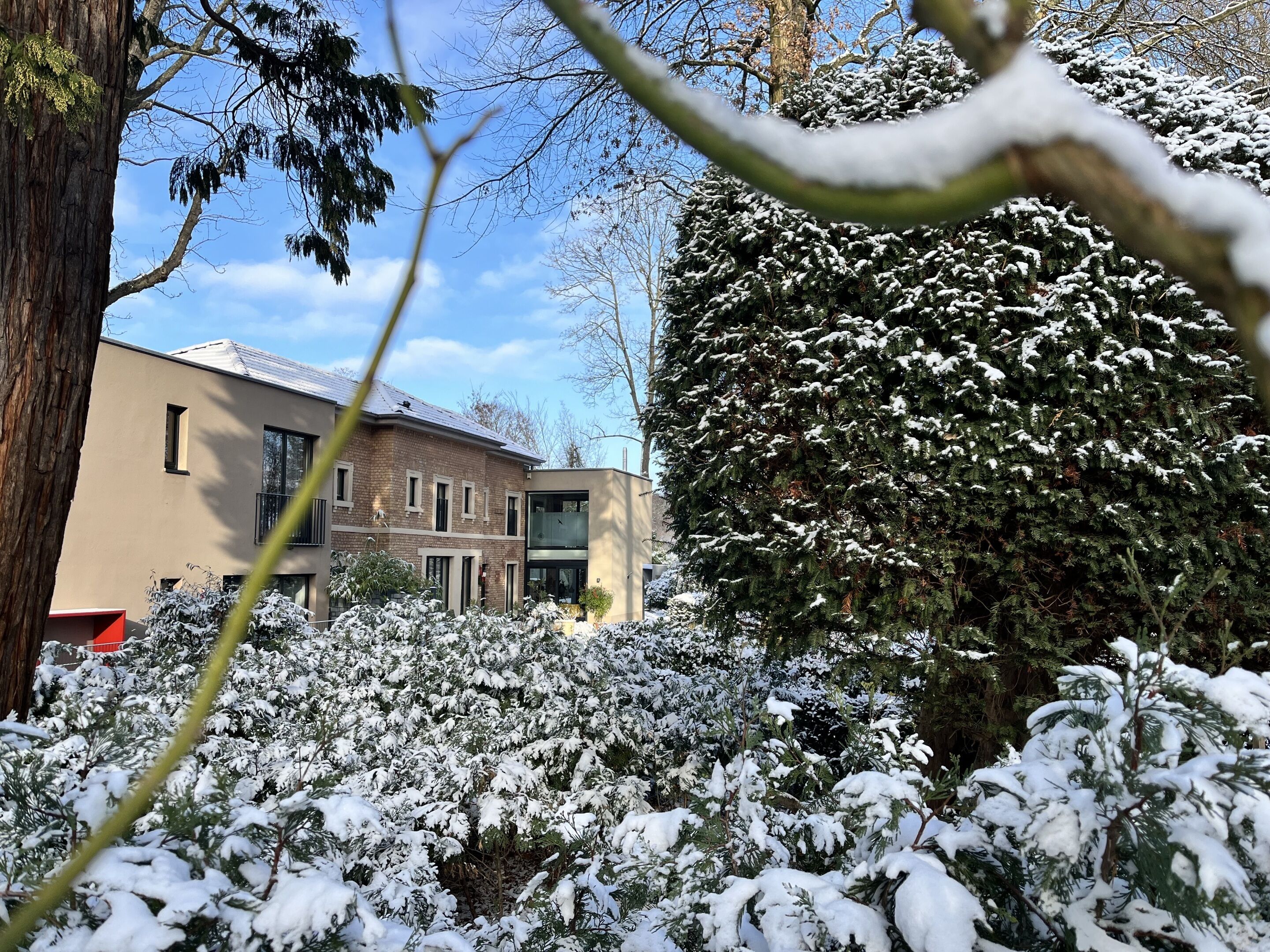A residential building with a brick facade, large windows, and a snow-covered evergreen tree in the foreground.