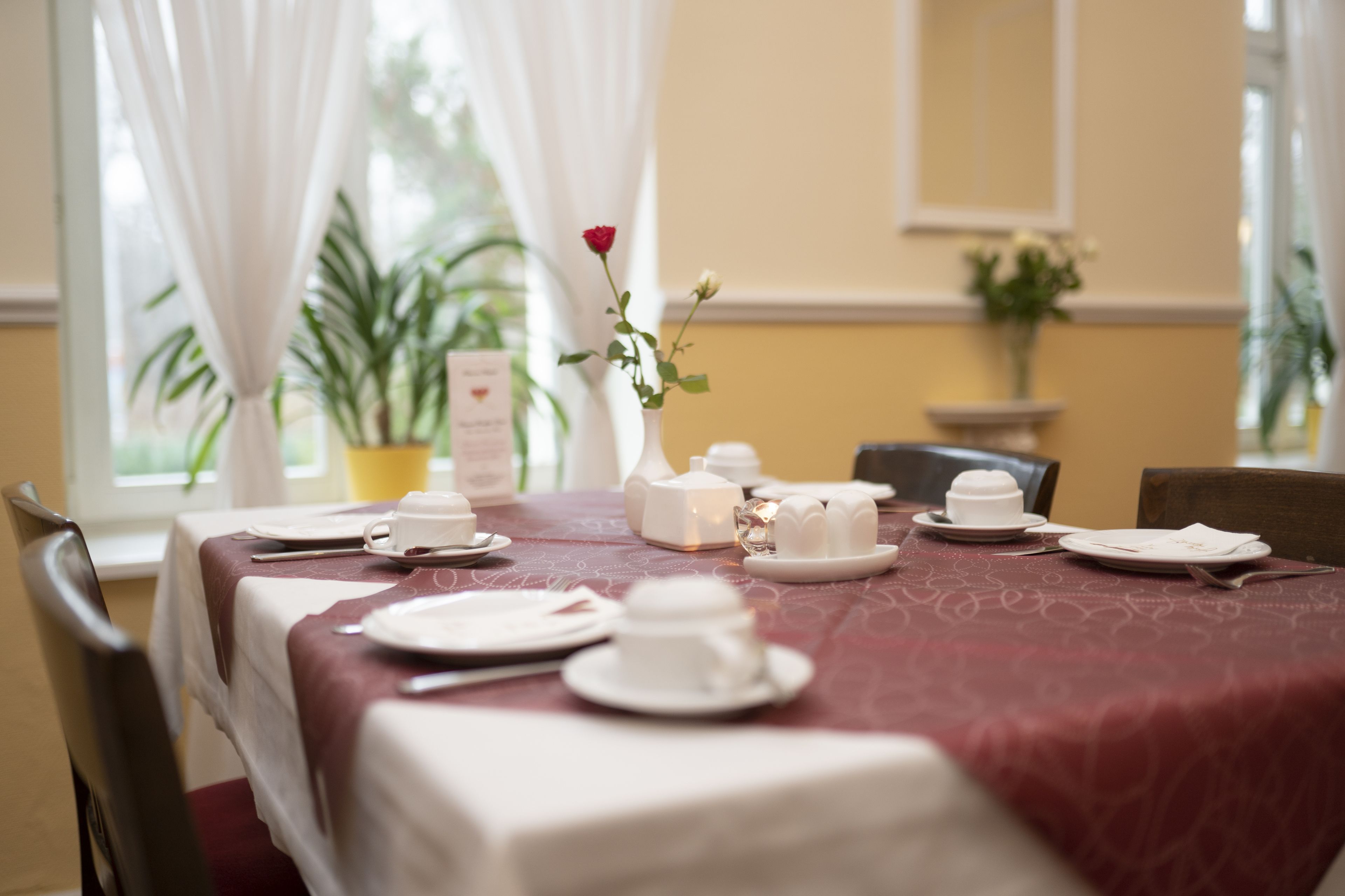 daily buffet breakfast (eur 16.5 per person)