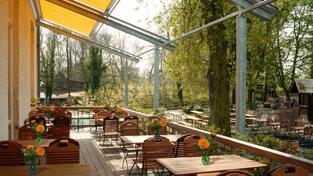 Un área de comedor al aire libre con mesas y sillas de madera, rodeada de follaje y árboles.