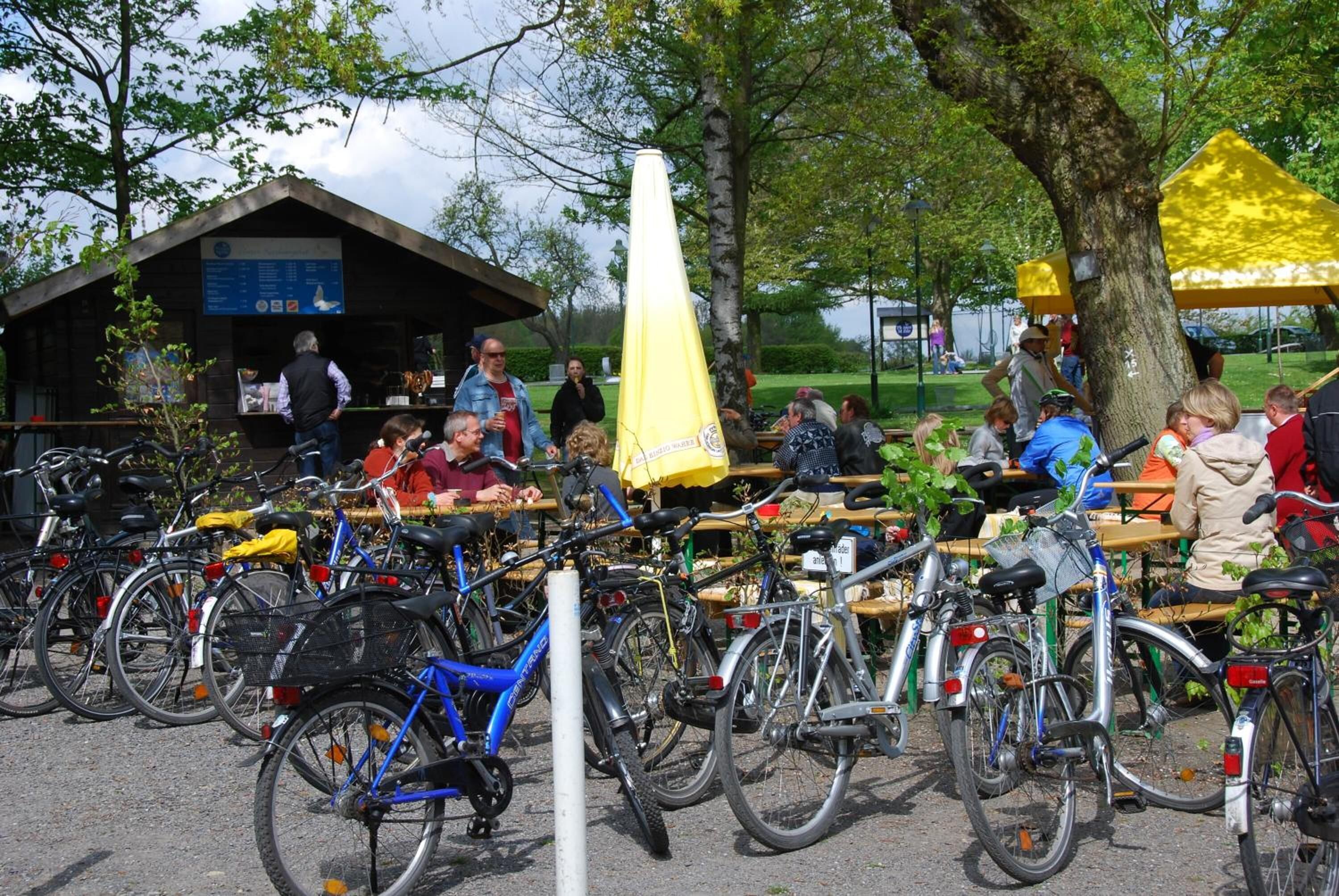 A park with bicycles parked and people sitting at tables under yellow umbrellas.