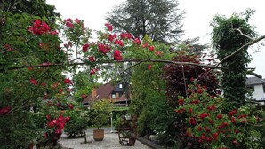 Blick von der Unterkunft