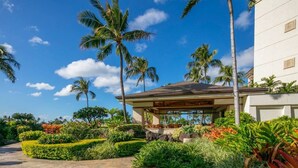 A covered outdoor area with a stone pathway, surrounded by lush tropical plants and palm trees.