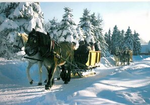 A horse-drawn sleigh moving through a snowy landscape with trees in the background.