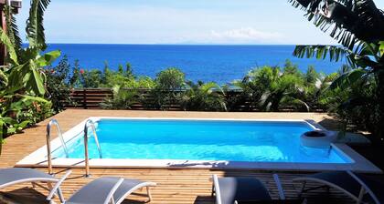 Vue sublime à 180° sur la baie du Diamant! Plage à 150m! Piscine