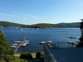 Paseos en bote