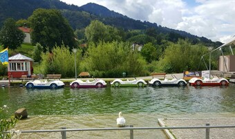 Paseos en bote