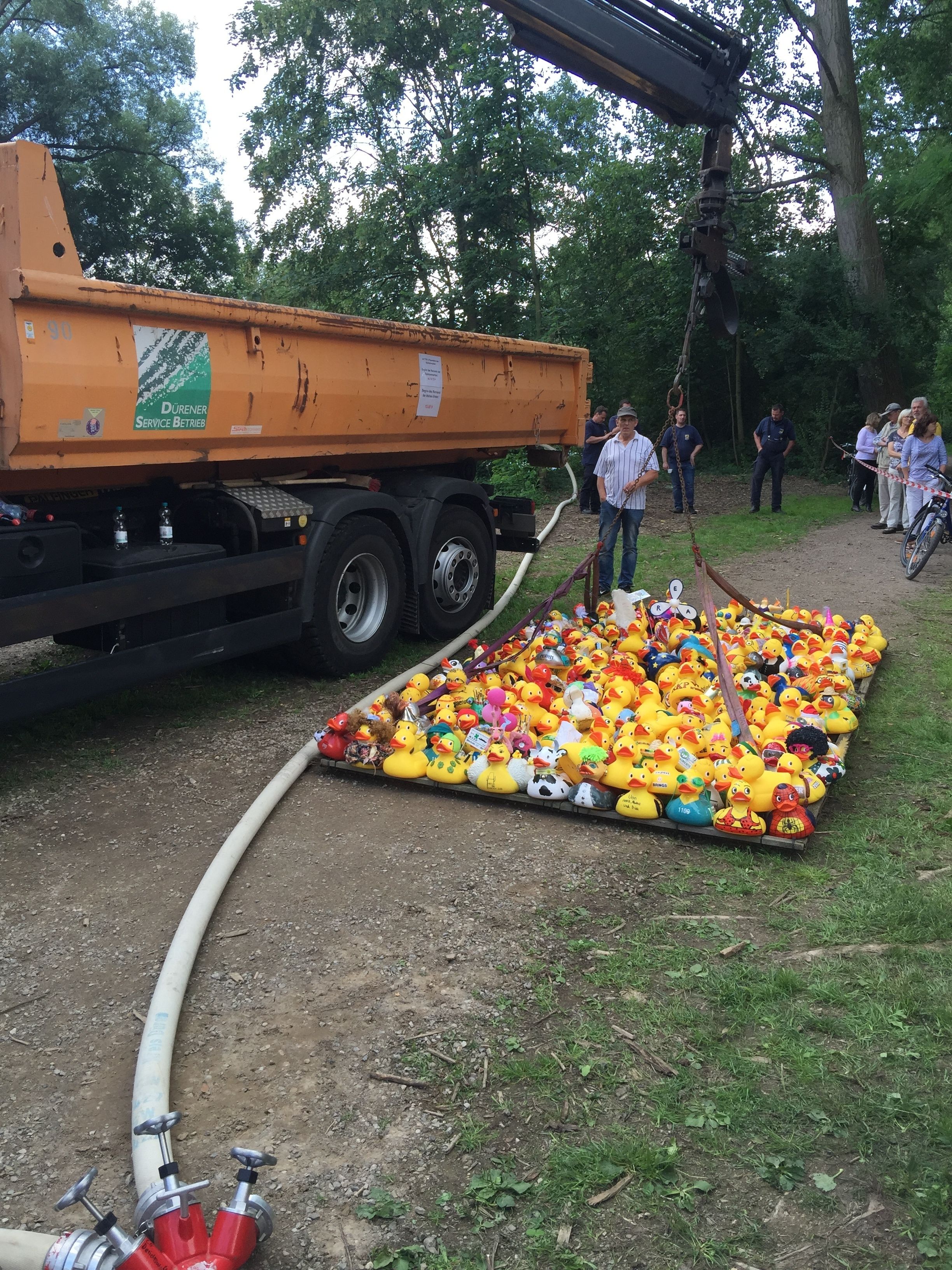 A truck unloading rubber ducks onto a mat in a wooded area.