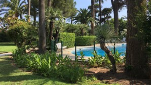 A pool surrounded by tall palm trees and lush greenery.