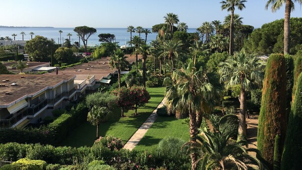 A landscaped garden with palm trees and a view of the sea.